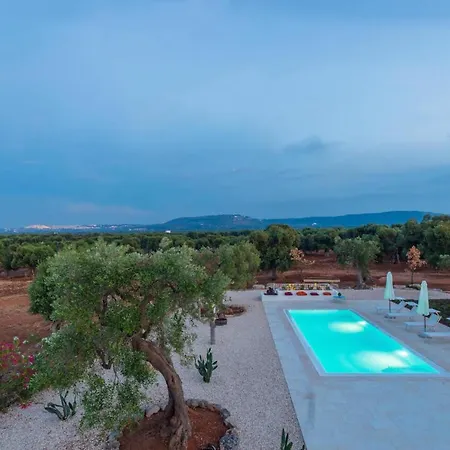 Nido Cicciarolla *